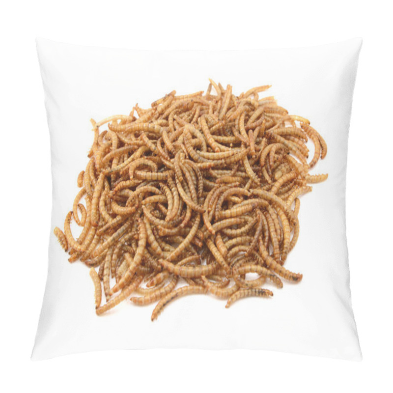 Personality  Dried Mealworms Pillow Covers