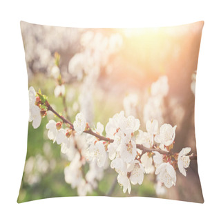 Personality  Blossoming Of The Apricot Tree In Spring Time With White Beautif Pillow Covers