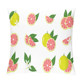 Personality  Set Of Illustrations With Pomelo Exotic Citrus Fruits, Flowers And Leaves Isolated On A White Background. Isolated Vector Icons Set. Pillow Covers