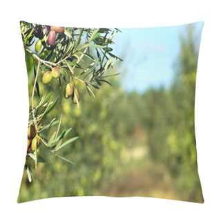 Personality  Olives In The Portuguese Field. Pillow Covers