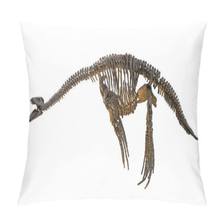 Personality  Plesiosaurus Skeleton Isolated Pillow Covers