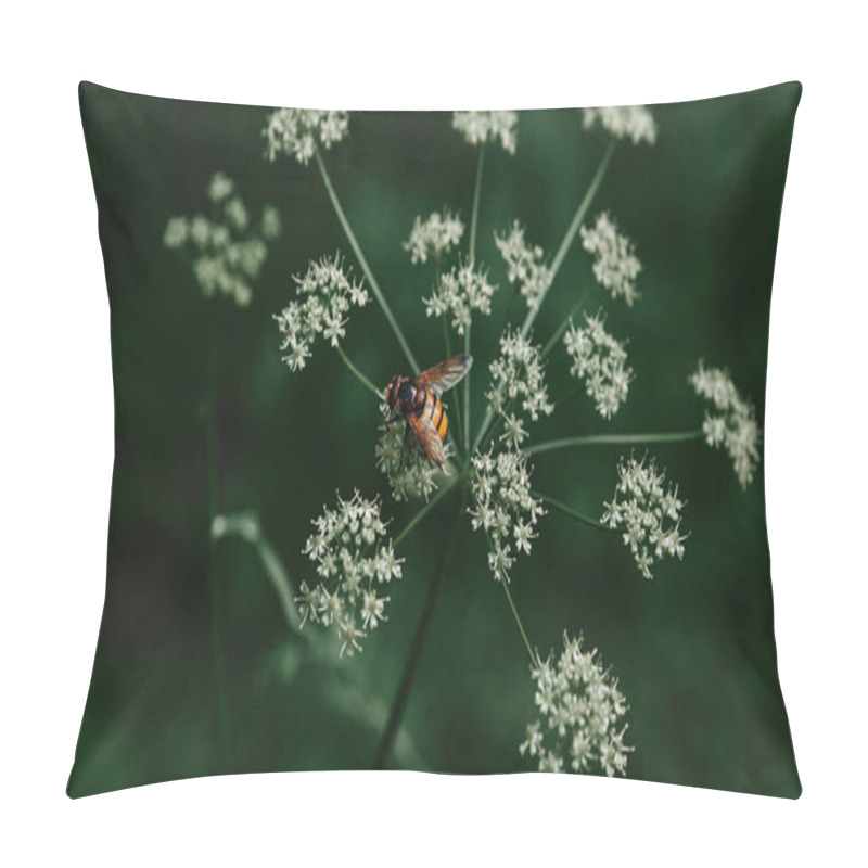 Personality  Selective Focus Of Bee On Cow Parsley Flowers With Blurred Background Pillow Covers