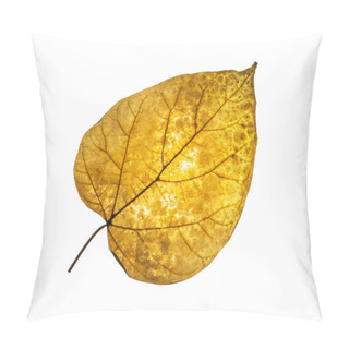 Personality  Isolated Dry Tilia Leaf Pillow Covers