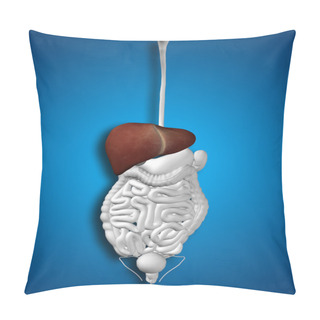 Personality   Human  Digestive System  Pillow Covers