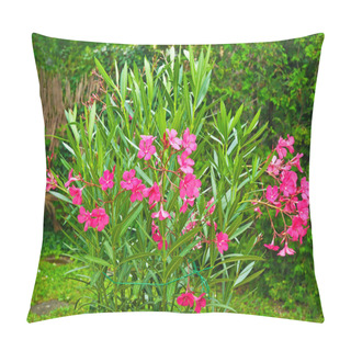 Personality  Red Oleander Pillow Covers