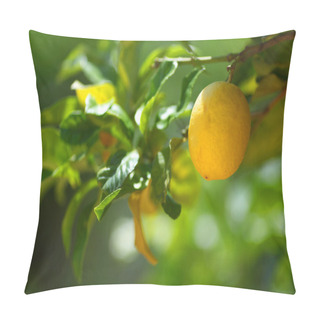 Personality  Lemon Close Up Pillow Covers