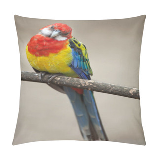 Personality  Color Eastern Rosella Pillow Covers