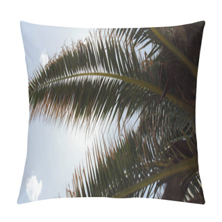 Personality  Bottom View Of Branches Of Palm Tree With Sky At Background, Panoramic Shot  Pillow Covers