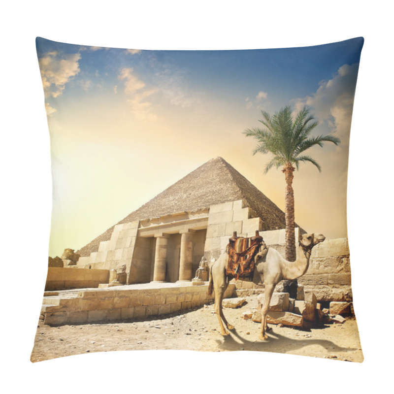 Personality  Camel near pyramid pillow covers