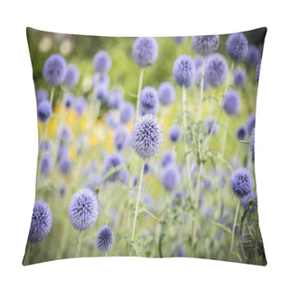 Personality  A Field Of Purple Thistles In Summer Pillow Covers