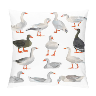 Personality  Set Of Vector Geese Pillow Covers