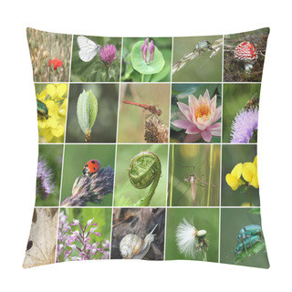 Personality  Biodiversity Collage Pillow Covers