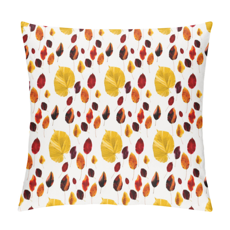 Personality  Collection of colored autumn leaves pillow covers