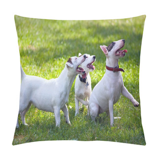 Personality  Terriers Pillow Covers