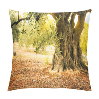 Personality  Old Olive Tree Pillow Covers