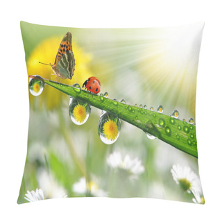Personality  Butterfly And Ladybug Pillow Covers
