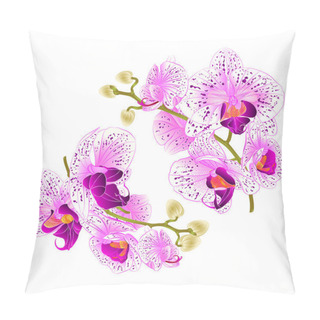 Personality  Branch Orchids   Purple And White Flowers  Phalaenopsis Tropical Plant On A White Background  Set Two Vintage Vector Botanical Illustration For Design Hand Draw  Pillow Covers
