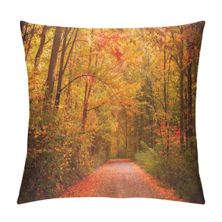 Personality  Autumn Forest Nature. Beautiful Romantic Alley In A Park With Colorful Trees. Autumn Natural Texture, Autumnal Background. Pillow Covers
