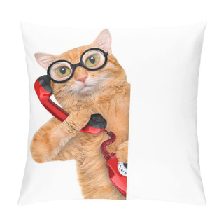 Personality  Cat Talking On The Phone. Pillow Covers