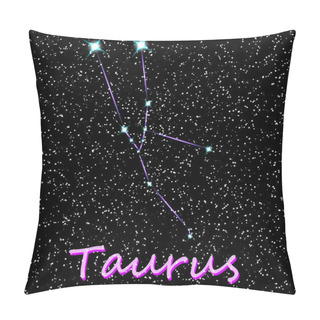 Personality  Vector Sky Map Constellations Image Pillow Covers