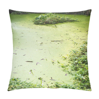 Personality  Green Lake, Swamp In The Forest. Pillow Covers