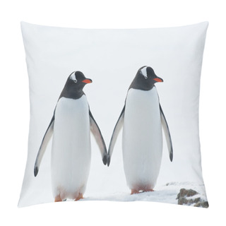 Personality  Two Penguins Gentoo. Pillow Covers