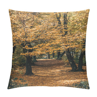Personality  Golden Leaves On Tree Twigs In Autumn Forest  Pillow Covers