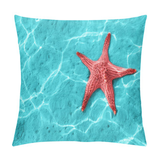 Personality  Starfish Pillow Covers