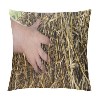 Personality  Cropped View Of Farmer Touching Hay, Banner Pillow Covers