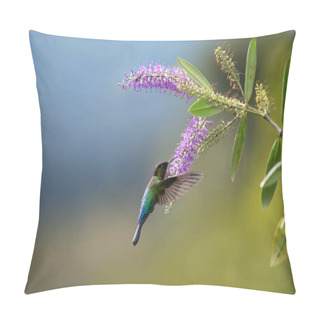 Personality  Flying Beautiful Hummingbird Costa Rica Pillow Covers