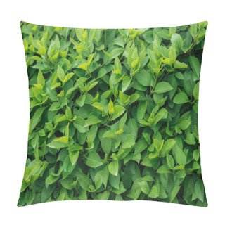 Personality  Green Colorful Leaves On Blooming Bush, Seamless Background Pillow Covers