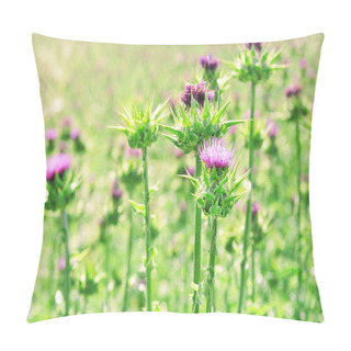 Personality  Milk Thistle (Silybum Marianum) Pillow Covers