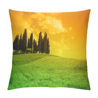 Personality  Typical Lanscape In Tuscany Pillow Covers