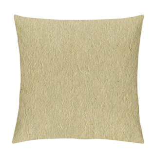 Personality  Recycled Paper Texture Background, Pale Tan Beige Sepia Textured Pillow Covers