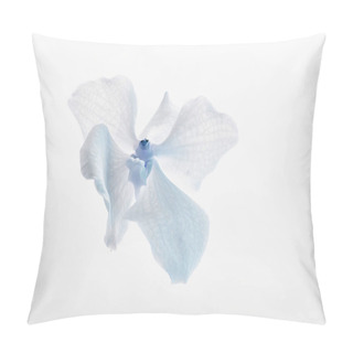 Personality  Close Up View Of Blue Natural Beautiful Orchid Flower Isolated On White Pillow Covers