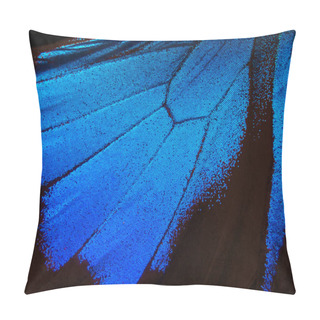 Personality  Wings Of A Butterfly Ulysses. Wings Of A Butterfly Texture Background. Closeup. Pillow Covers