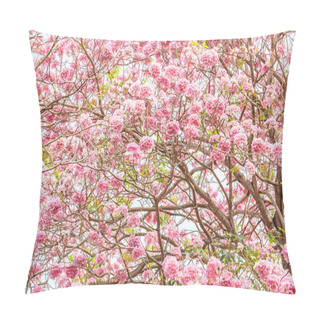 Personality  Bright Pink Blossom Of Tabebuia Pillow Covers
