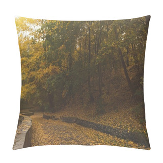 Personality  Road In Autumn Park Pillow Covers