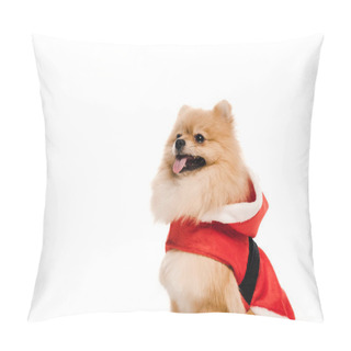 Personality  Funny Pomeranian Spitz Dog In Santa Costume Isolated On White Pillow Covers