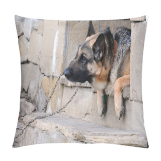 Personality  Portrait Of German Shepherd Pillow Covers