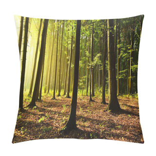 Personality  Sunny Morning In The Forest Pillow Covers