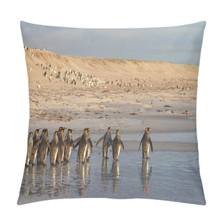 Personality  King Penguins In The Surf Pillow Covers