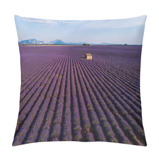 Personality  Lavender Pillow Covers