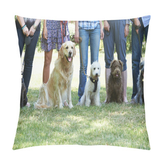 Personality  Group Of Dogs With Owners At Obedience Class Pillow Covers
