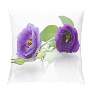 Personality  Beautiful Eustoma Flowers With Leafs And Buds On White Backgroun Pillow Covers