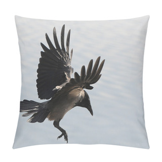 Personality  Flying Crow Pillow Covers