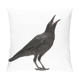Personality  Young Carrion Crow - Corvus Corone (3 Months) Pillow Covers