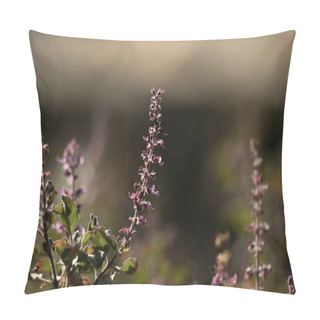 Personality  Organic Fresh Holy Basil Or Tulasi With Purple Flowers In The Garden. Ocimum Tenuiflorum. Herbal Plant. Tulsi Plant In The Garden. Pillow Covers
