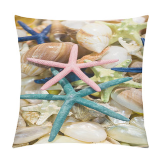 Personality  Shell Collection In Group Pillow Covers