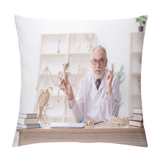 Personality  Old Paleontologist Examining Ancient Animals At Lab Pillow Covers
